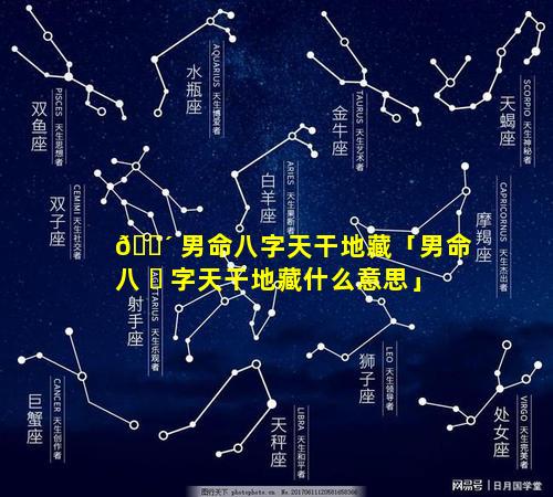 🐴 男命八字天干地藏「男命八 ☘ 字天干地藏什么意思」